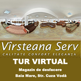 Sponsor Virsteana Serv